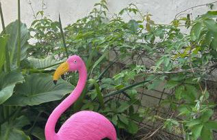 Hvar beach vacation - Foto 18