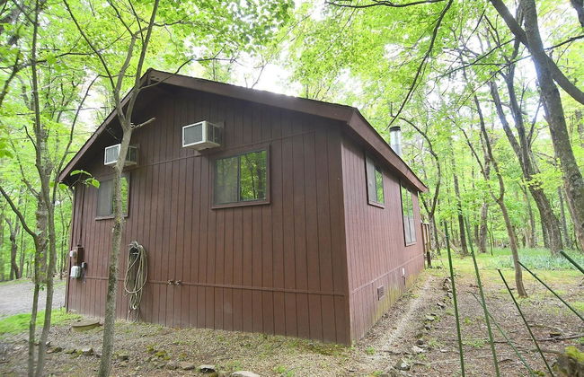 Woods Song - Natures Promise - Foto 31