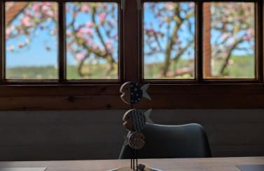 Ferienhaus am See Wutzsee mit direktem Seezugang - Foto 8