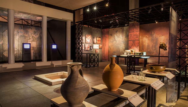 Museo del Pont du Gard