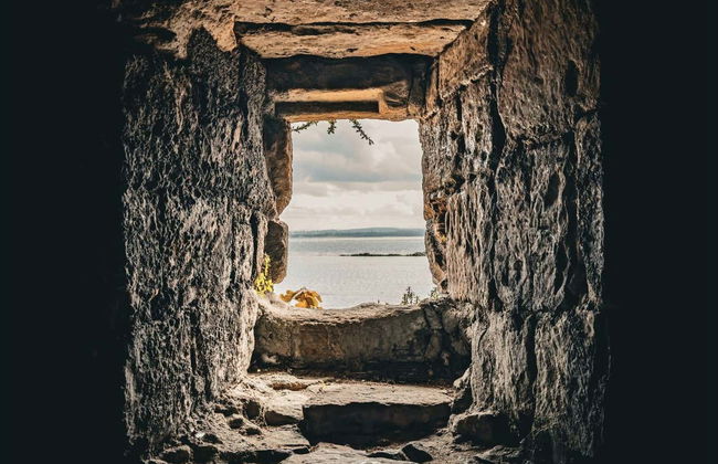 Paseo en barco por los puentes del Forth + Abadía de Inchcolm - Foto 16