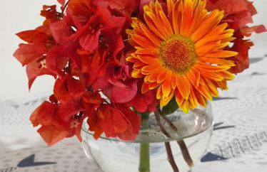 Holiday home Mennulita - Foto 44