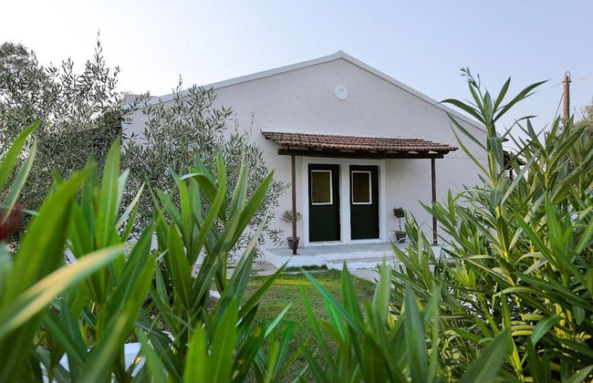 Alykes Family Resort - Photo 26