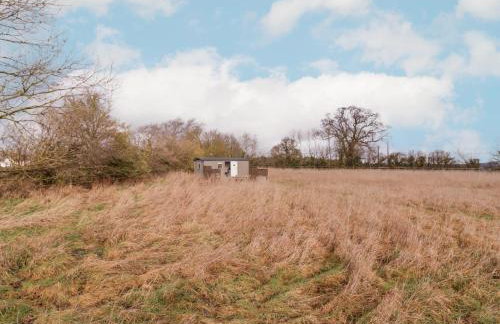 Bumble's Retreat - Foto 19