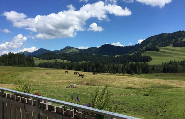 Alpchalet Staufner Quelle - Foto 25