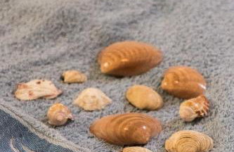 Apartments Željka - Foto 27