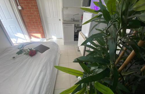 1 Bedroom studio - Photo 11