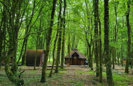 Le Domaine Insolite de Brocéliande - Foto 48
