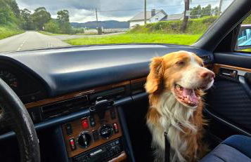 Casa "LA OCA" - Planta Baja Independiente en Vivienda Independiente - Foto 28