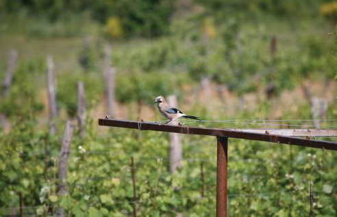 Apartments Cekada - Photo 72