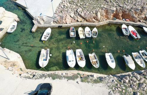 Apartman Školj - Photo 14