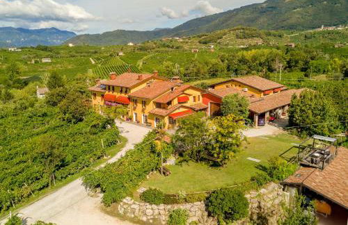 Azienda Agricola Campion - Foto 3