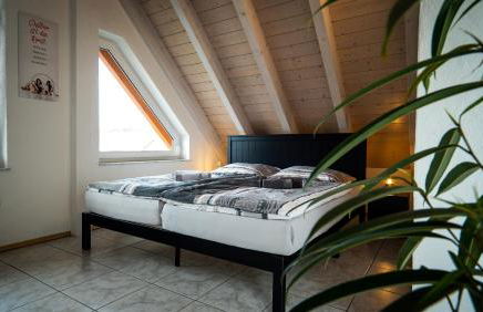 FeWo WOW II Schöne 2-Zimmer Maisonette Wohnung - Foto 5