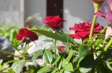 Fiada Holiday Home - Foto 39