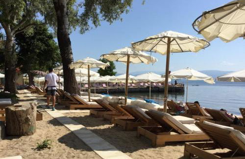 Daniel studio - Foto 18