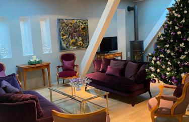 L'Écrin de Colmar - Hypercentre - Garage privé - Foto 1