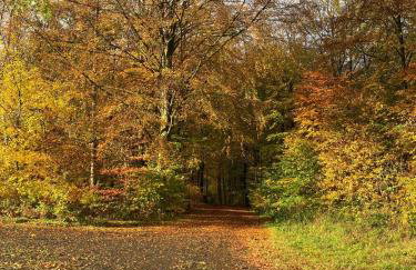 Gittas Paradiesperle - Foto 35