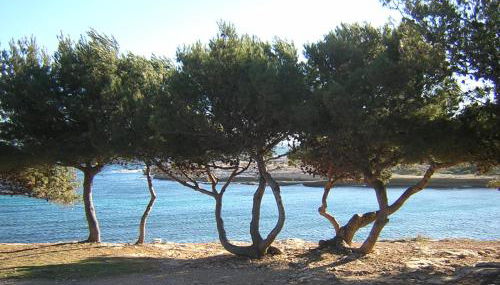 Appartements des Joncas - Foto 5