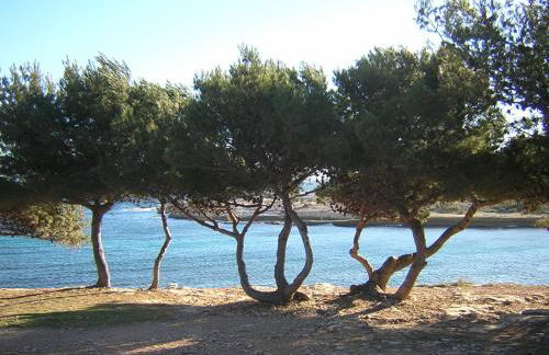 Appartements des Joncas - Foto 5