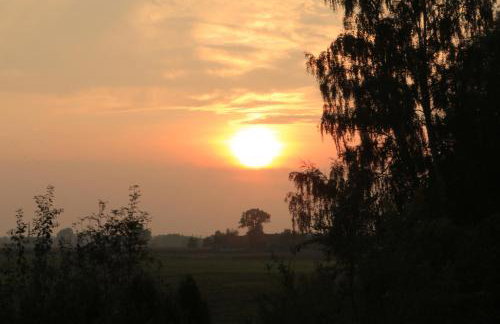 Agroturystyka Żuławiaczek - Foto 42