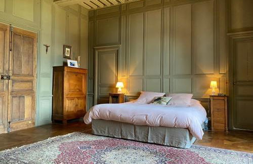 Château de Moulins - Foto 6