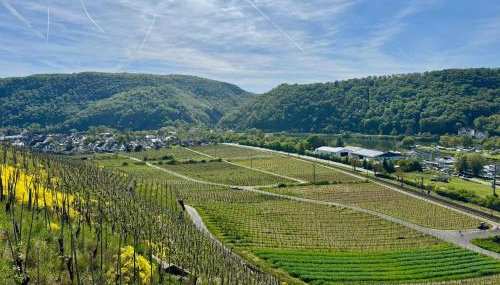 Ferienwohnung Zur Alten Schmiede - Foto 3