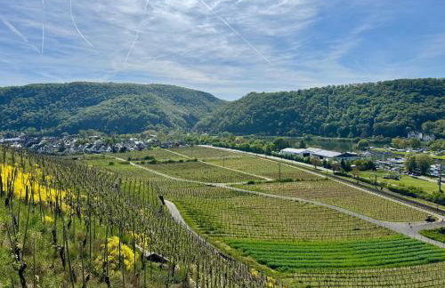Ferienwohnung Zur Alten Schmiede - Photo 3