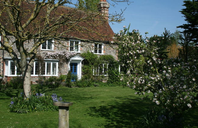Walnut Tree House - Photo 21
