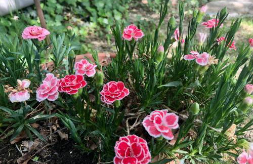 Casale Fonte delle Pietre - Foto 38