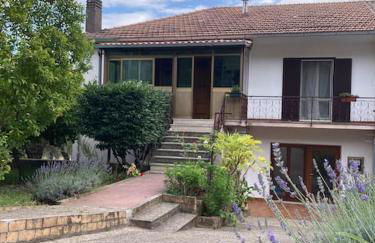 Casa Sisù-Appartamento immerso negli ulivi - Foto 29