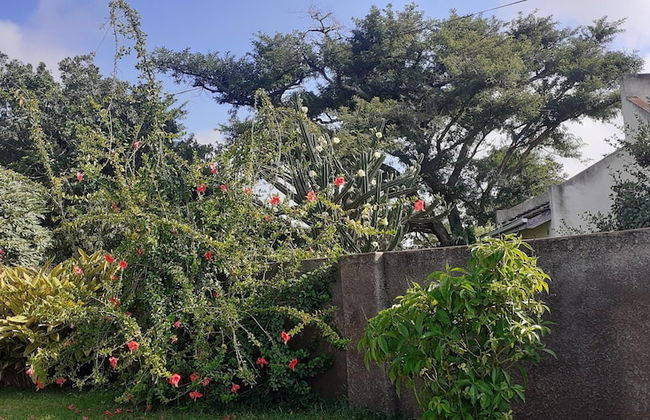 The Best Green Garden Guest House in Harare - Foto 30