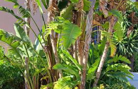 Passione Mare - Foto 46