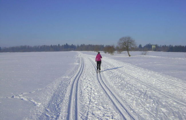 Holiday Apartment Weipert - Foto 13