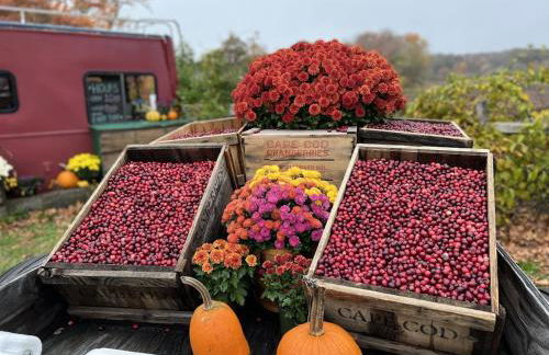 A charm Cape house centrally located close to everything that Cape code offers - Foto 39