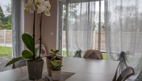 Kokana modern holiday home - Foto 4