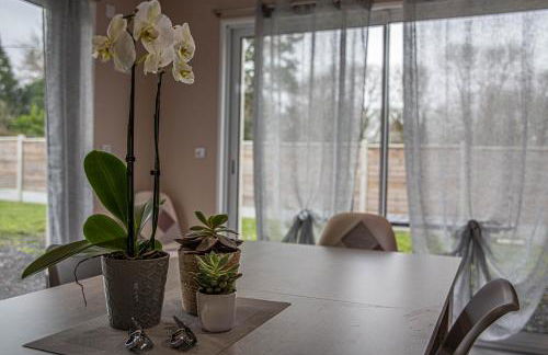 Kokana modern holiday home - Foto 4