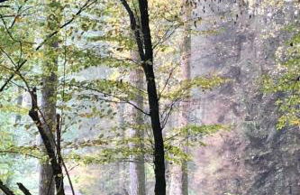 Apartment Gartenblick by Interhome - Foto 38