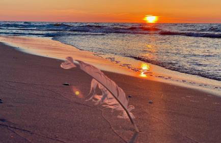 Apartament z Tarasem Plaza 22 - Foto 41