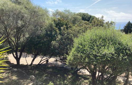 Chez Jean Claude la villa des amis - Foto 40