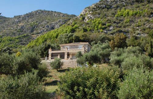 Old Olive house - Foto 3