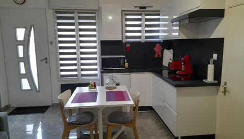 T2 Charmant duplex independant Blagnac - Photo 1