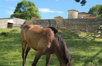 Château De Chaussy - Foto 31