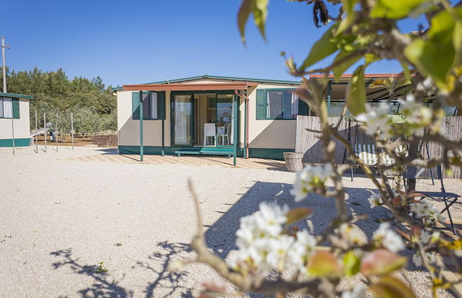 Bungalow Felicit 1 With Pool - Foto 30