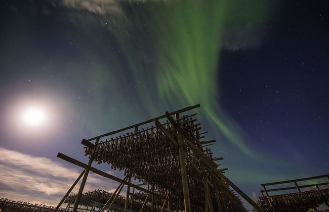 Å Rorbuer - by Classic Norway Hotels - Photo 43