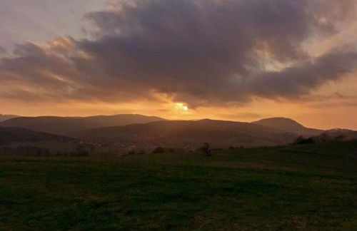 Holiday Home am Weiher by Interhome - Foto 24