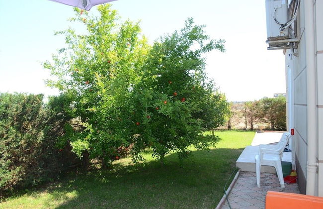 Villa Bouzid - Foto 43