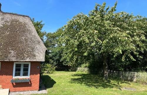 Brunos Haus - Foto 32