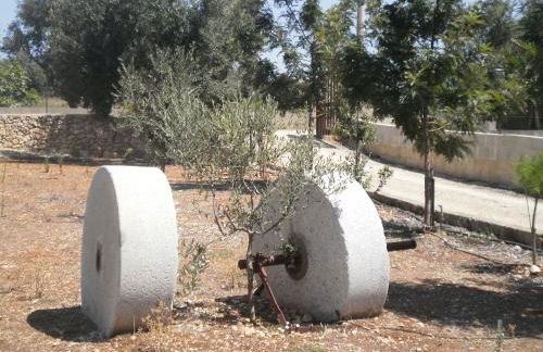 Tenuta Cazzato - Foto 15