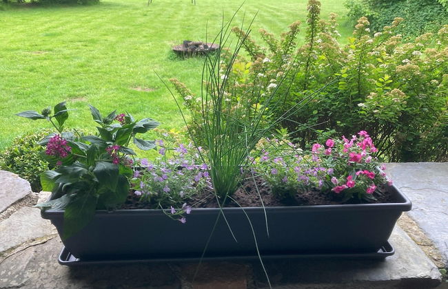 Holiday Home With Sauna in Sourbrodt - Photo 24