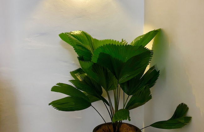 Minimalist Duplex at Sunway & PJ - Photo 18